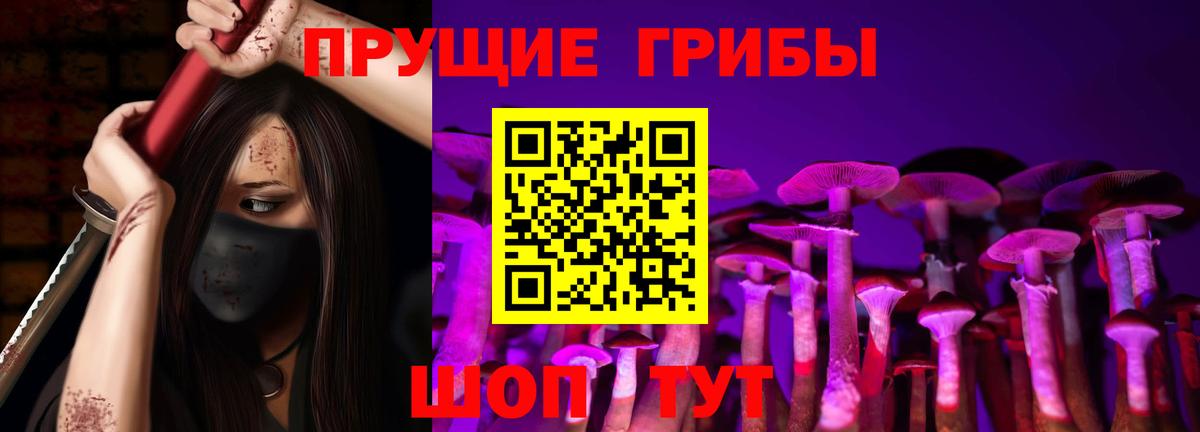 Ачхой-Мартан  Галлюциногенные грибы Psilocybe  Вход с VPN  Псилоцибиновые грибы Cubensis 